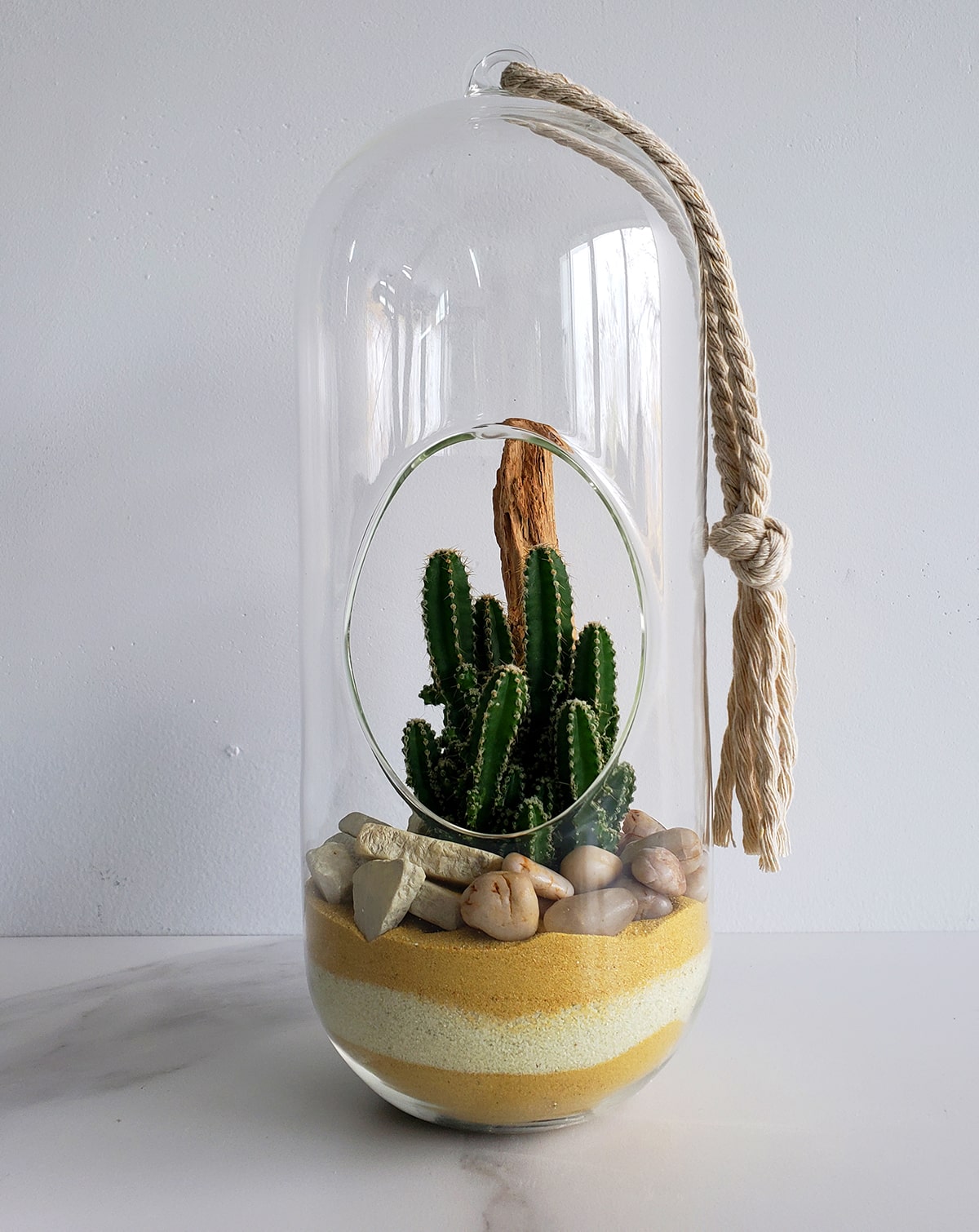 Bulle en verre de cactus