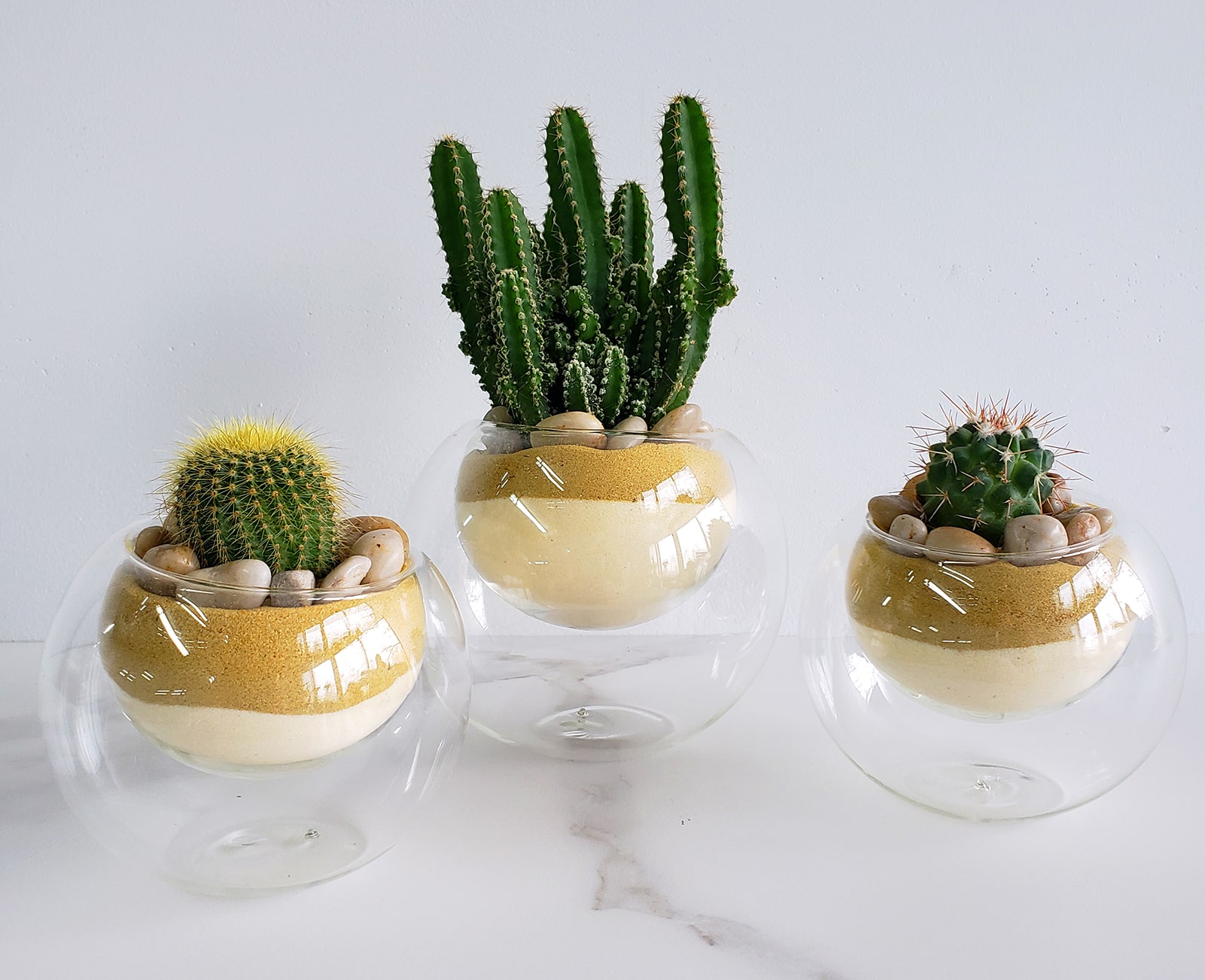 Trio de cactus